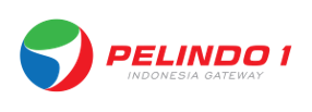 Pelindo I